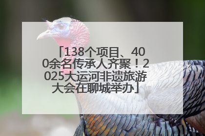 138个项目、400余名传承人齐聚！2025大运河非遗旅游大会在聊城举办