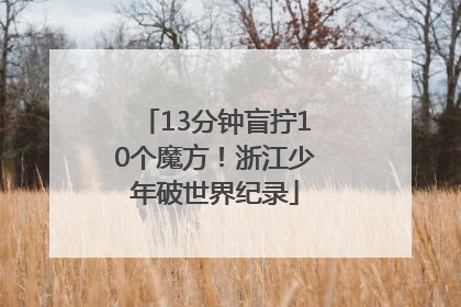 13分钟盲拧10个魔方！浙江少年破世界纪录
