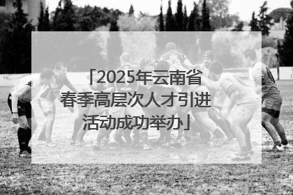 2025年云南省春季高层次人才引进活动成功举办
