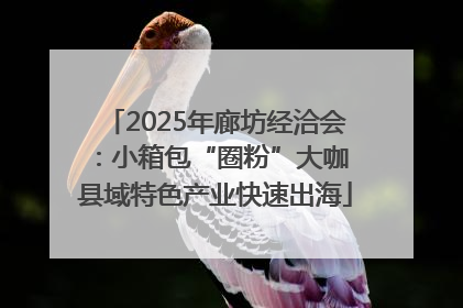 2025年廊坊经洽会：小箱包“圈粉”大咖 县域特色产业快速出海