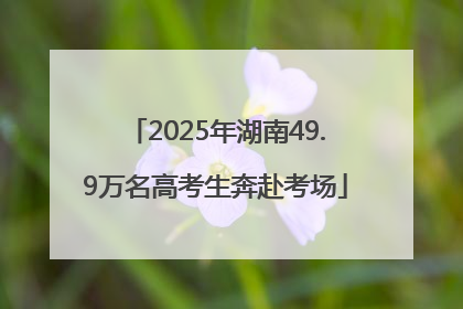 2025年湖南49.9万名高考生奔赴考场