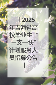 2025年青海省高校毕业生“三支一扶”计划服务人员招募公告