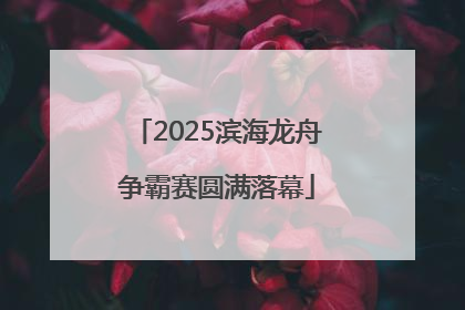 2025滨海龙舟争霸赛圆满落幕