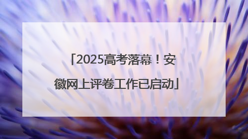 2025高考落幕！安徽网上评卷工作已启动