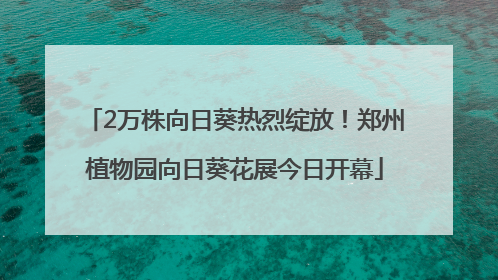 2万株向日葵热烈绽放！郑州植物园向日葵花展今日开幕
