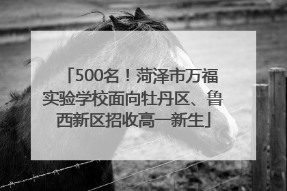 500名！菏泽市万福实验学校面向牡丹区、鲁西新区招收高一新生