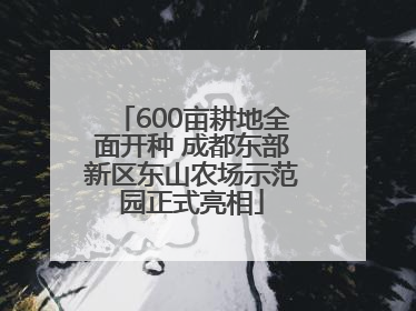 600亩耕地全面开种 成都东部新区东山农场示范园正式亮相