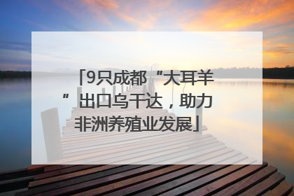 9只成都“大耳羊”出口乌干达，助力非洲养殖业发展