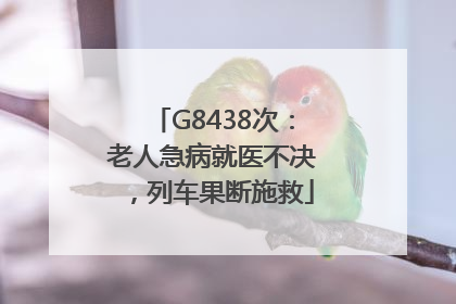 G8438次：老人急病就医不决，列车果断施救