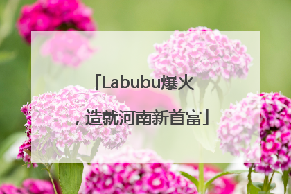 Labubu爆火，造就河南新首富